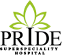 PRIDE logo